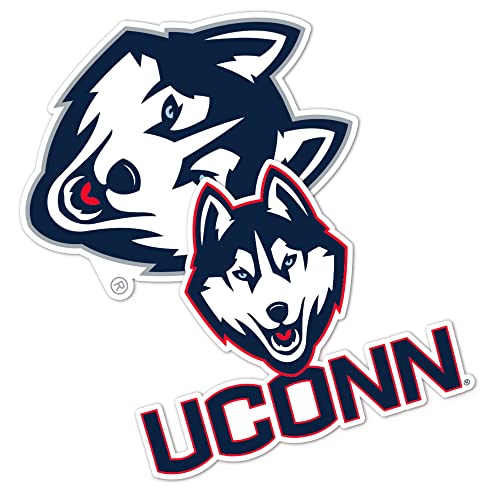 Desert Cactus University of Connecticut Sticker Huskies UConn Vinyl Decal Laptop Water Bottle Car Scrapbook Sheet (4 Inch Set V1)