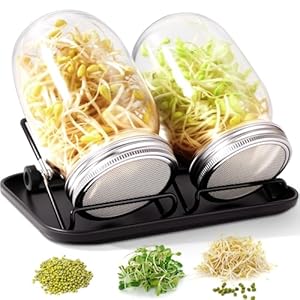 FoiiLiio Sprossenglas Keimglas 2er Set