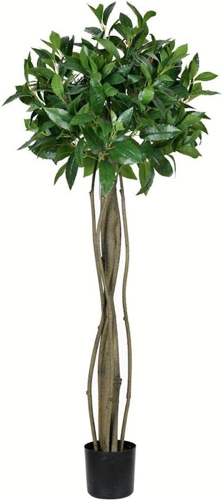 Vickerman Everyday Artificial Bay Leaf Tree 4 Foot Tall - Green Indoor Potted Topiary Tree - Faux Decor for Home Or Office Greenery