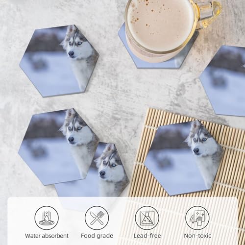 Blue Eyed Dog Untersetzer für Getränke, runde saugfähige Keramikstein-Untersetzer, Set mit 6 Stück, mit Halter für verschiedene Tassen, Heimdekoration, 10,2 cm, sechseckig