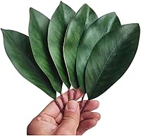 Vista 1 de Bigger Artificial Magnolia Leaves-Fake Green Magnolia Leaves for Wedding Decorations,Bookmark,Fake Leaves Decor,DIY Magnolia Wreaths,Home Decor