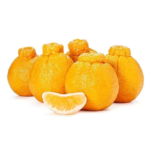 Mandarin Dekopon Sumo Orange Fresh - Bolsa de 8 libras sin OMG - Dekopon japonés naranja mandarina