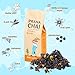 Prana Chai Home Brew Gift Set