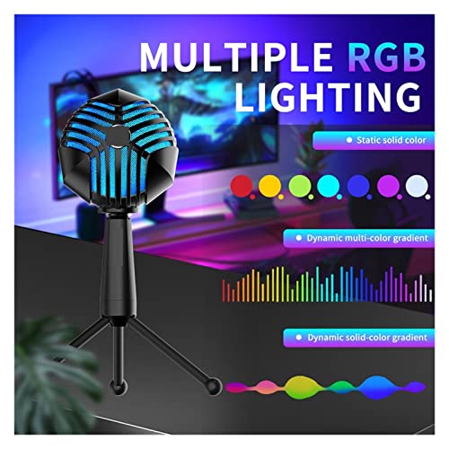 Microphone antibruit pour voix claire enregistrement et doublage PC