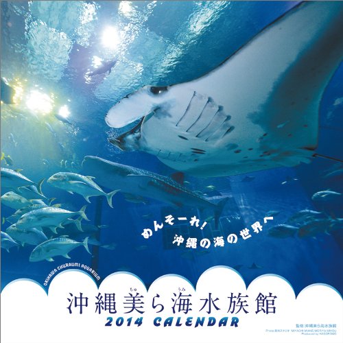 沖縄 マンタの出産シーン 美ら海水族館 ニコニコ動画