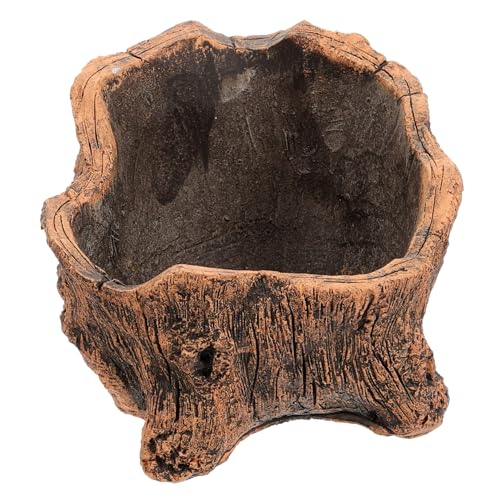 SEWOART Maceta De Cemento Forma De Raíz De Árbol Ideal para Suculentas y Plantas