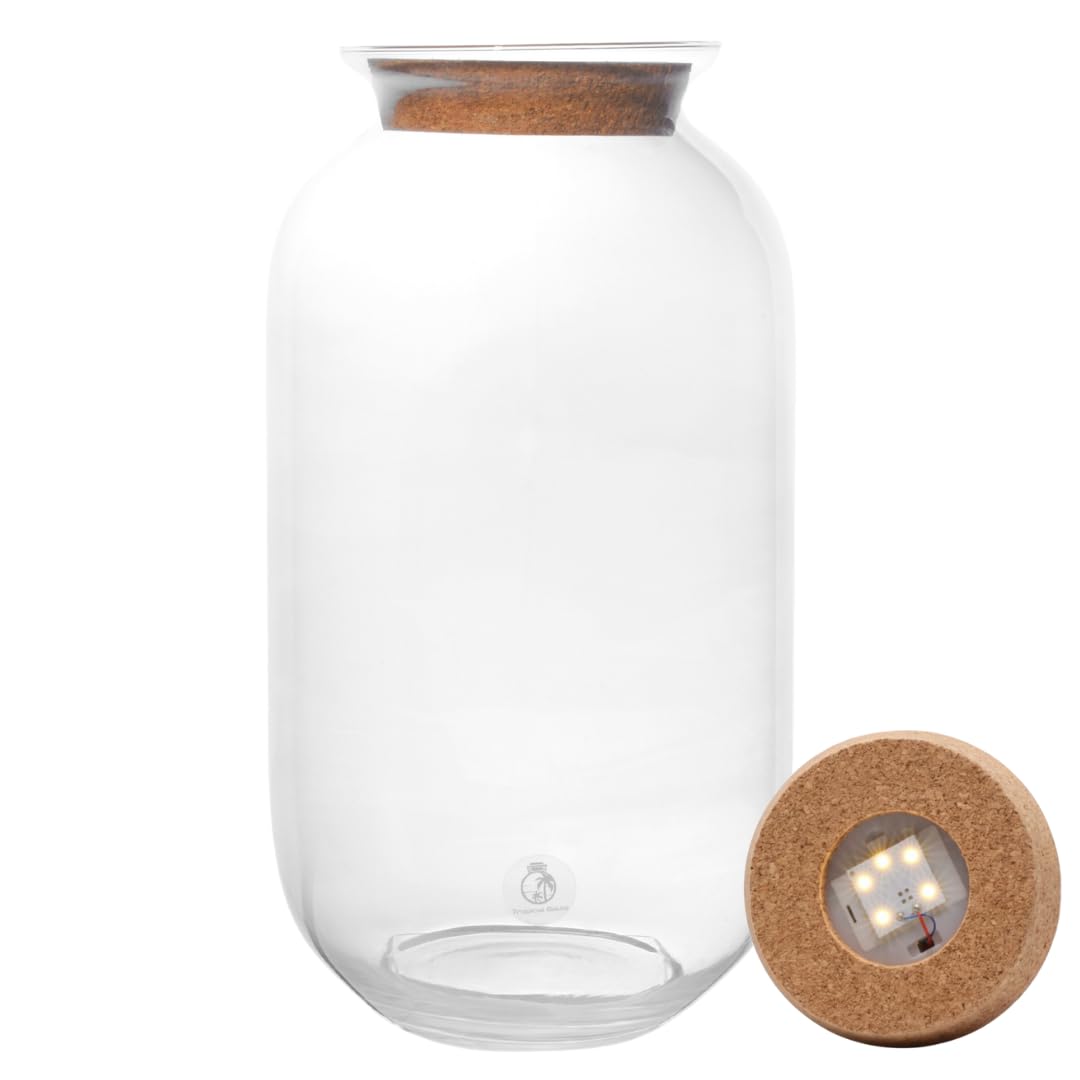 Glass Terrarium Jar (H: 42cm) with Cork Lid – Extra Tall Hand-Blown Closed Glass Container for DIY Indoor Gardens, Empty Large Decorative Vessel for Plants, Moss (Capacity 13.5 L) (with LED Cork Lid)