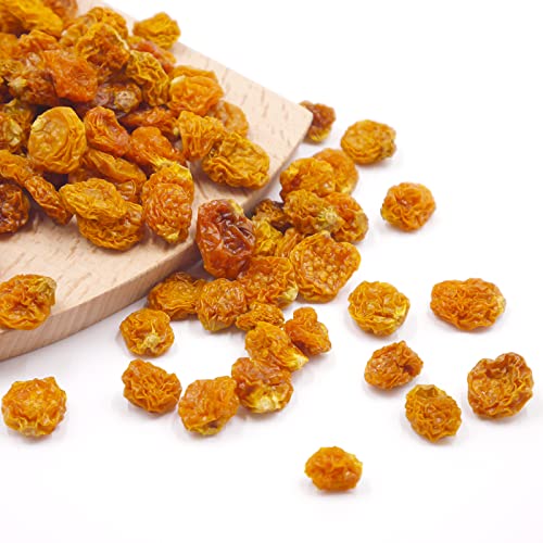 JWx[X Y sgp CJx[ S[fx[ 500g X[p[t[h hCt[c Wbvt