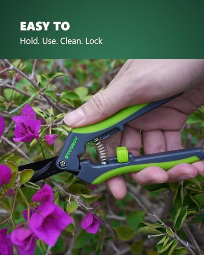 6.5" Pruning Shears for Gardening, Sharp Plant Trimming Scissors for Precise Cuts, Stainless Steel Garden Scissors Bonsai Clippers (2-Pack Curved)