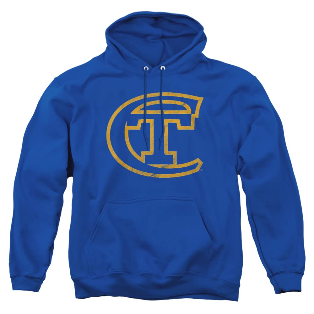 LOGOVISION Official Collegiate Distressed Primary Logo Adult Pullover Hoodie Collection — view 313