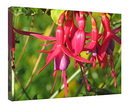 Toile fuchsia 40x50 cm déco salon moderne avec cadre bois