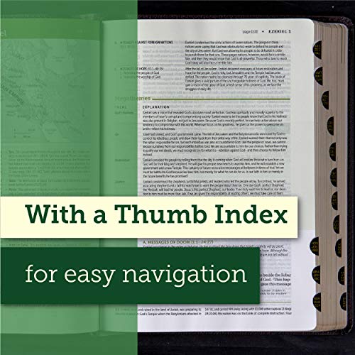 "NLT Life Application Study Bible, Third Edition" - Image 8