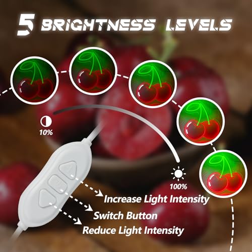 Image of Cherry Neon Sign for Wall Decor, Dimmable Red Printed Cherries Neon Lights, Vibrant Fruit Themed Neons LED Signs for Kids Room, Bedroom, Restaurant, Bar, Club, Fruit Shop, Birthday Party (Cherry)