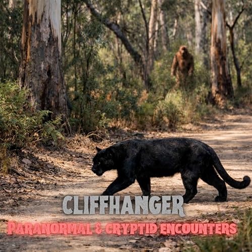 Yowie Bluff Charge & Black Panther Encounter | Hunter Valley NSW