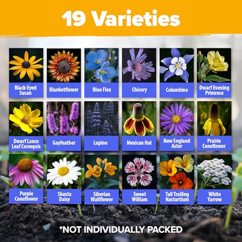 Image of HOME GROWN Wildflower Seeds Bulk Mix | 63,200+ Non-GMO Perennial Flower Seed for Outdoor Planting | 19 Varieties to Attract Bees, Butterflies & Hummingbirds | 4 oz