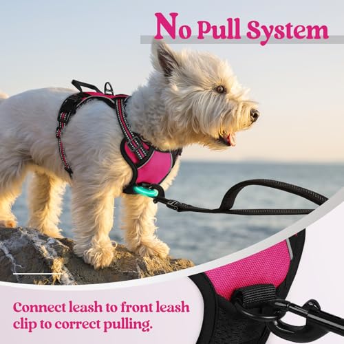 Image of rabbitgoo Dog Harness No Pull with 2 Leash Clips, Adjustable Soft Padded, Reflective Oxford No Choke Pet Vest with Easy Control Handle for Puppy, Hot Pink, XS