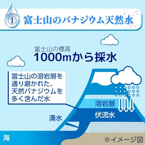 ペットの天然水『Vウォーター（2L×6本）』
