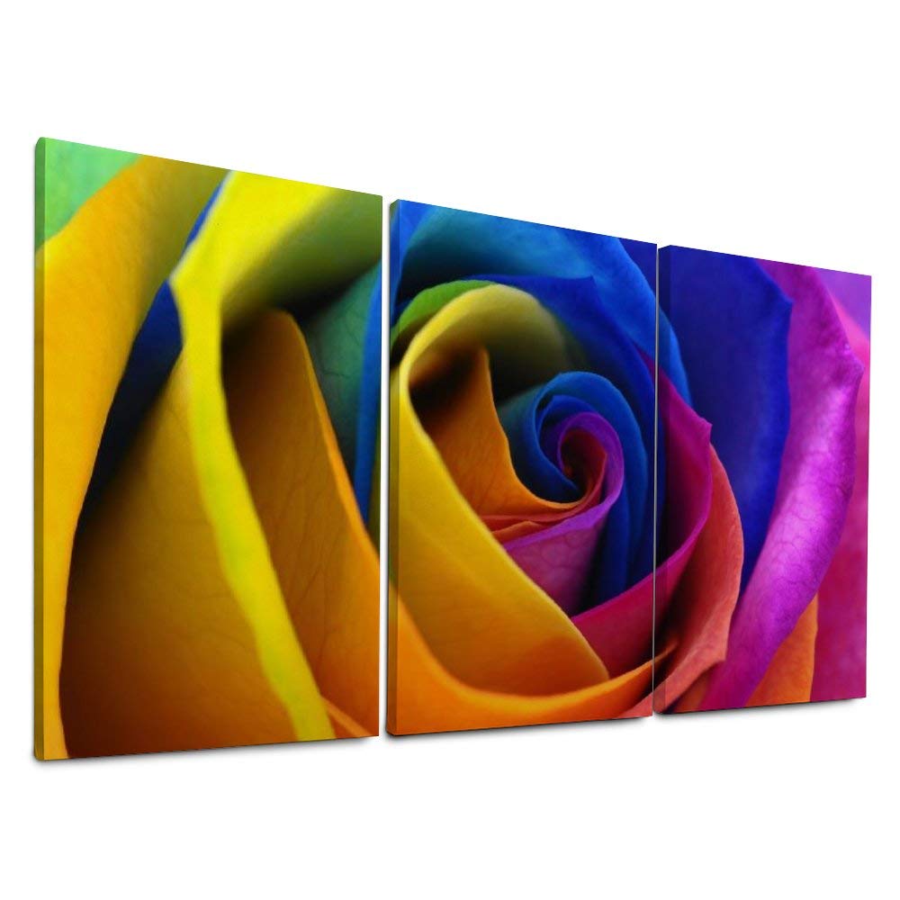 YATELI Wall Decor Abstract Rainbow Flower Rose Colorful Canvas Prints Giclee Ready to Hang butterfly 3 Panels for Living Room Home Office Decor