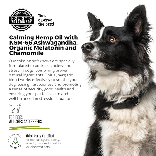 Image of ANP Premium Organic Hemp Oil Calming Chews for Dogs - No Animal Proteins Separation Anxiety & Stress Relief - Clinically Studied KSM-66 Ashwagandha - Promotes Relaxation, Improves Sleep - Made in USA