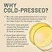 NatureWise Flaxseed Oil 1200 mg, Fish Free Omega 3 6 9 with 720mg ALA, Dietary Supplement for Heart Health Support - Organic, Cold Pressed, Non-GMO - 30 Softgels[1-Month Supply]