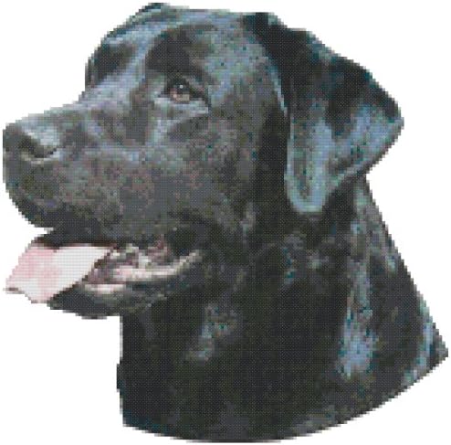 Black Labrador Retriever Dog Portrait Counted Cross Stitch Pattern