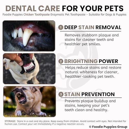 Image of Foodie Puppies Pet Enzymatic Toothpaste for Dogs - (Chicken Toothpaste, 100gm) (Pack of 2) Enriched with Baking Soda Soothes Inflamed Gums, Removes Plaque Tartar, & Overall Oral Hygiene