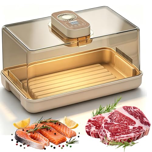 Vassoio elettrico per scongelamento degli alimenti con coperchio, controllo intelligente della temperatura e timer, scatola di scongelamento da 19 litri per carne e frutti di mare, tavola per