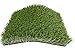 New 15' Foot Roll Artificial Grass Turf Synthetic Fescue Pet Sale! Many Sizes! (Premium 15' x 40' = 600 Sq Ft)