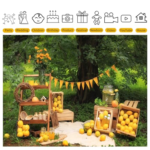 Fondo fotográfico Lemon 10x8ft para picnic y eventos miniatura 3