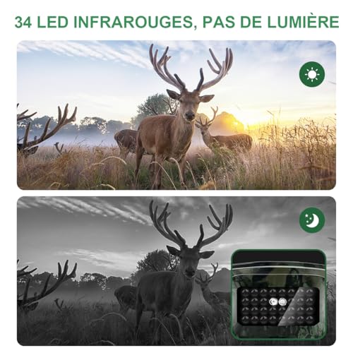 HAZA Wildkamera 4K HD Wildtierkamera mit 32G Sd Karte mit Bewegungsmelder nachtsichtkamera Outdoor...
