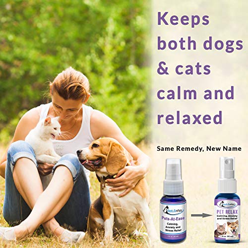 BestLife4Pets Pet Relax Calming Anxiety Relief for Dogs and Cats - All Natural Stress Aid Spray - Eases Separation Anxiety, Reduces Fear of Car Rides, Vet Visits, and Thunder Storms - Thumbnail 2