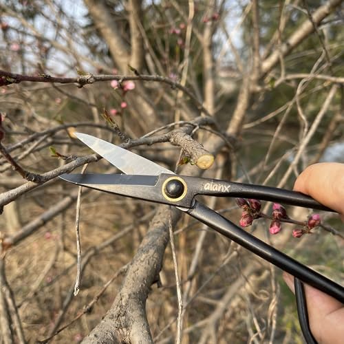 Tijeras de Bonsái Forjadas de Acero de 8 Pulgadas miniatura 7