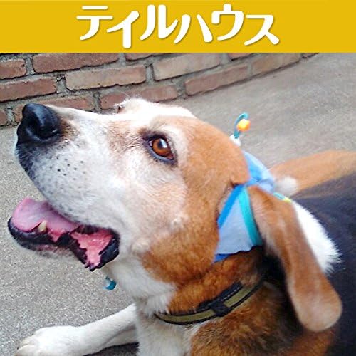 代引き手数料無料 たれ耳犬ネックレス Sale 公式 Mergelyan Am