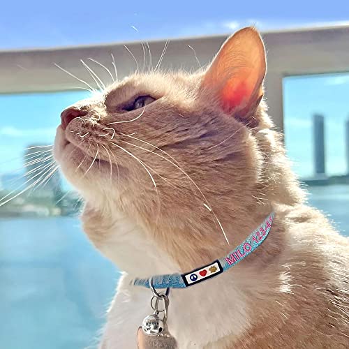 Image of Pawtitas Personalized Cat Collar With Breakaway Safety Release Buckle Adjustable Length | Cat Collar With Custom Embroidered For Your Pet's Name And Phone Number | Black Cat Collar With Removable Bell