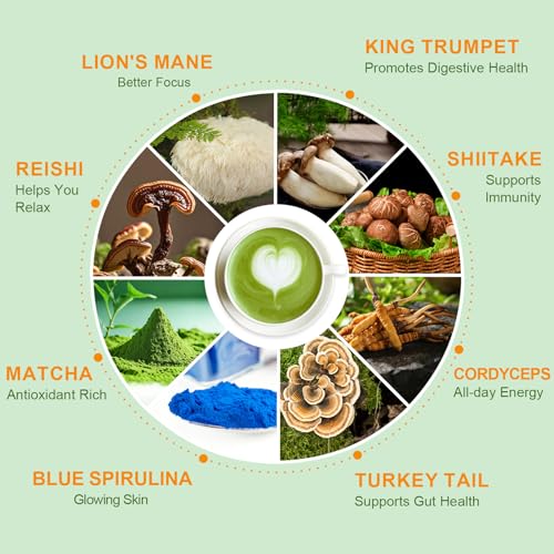 Té con 6 hongos adaptógenos y matcha ceremonial 30 serv. miniatura 3