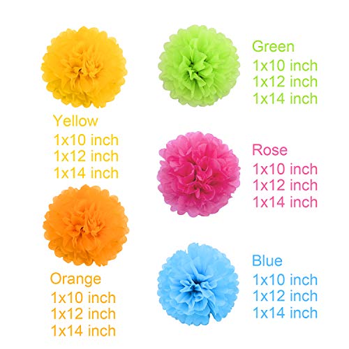 image for Livder Paper Flowers Bright Colorful Tissue Paper Pom Poms for Party B