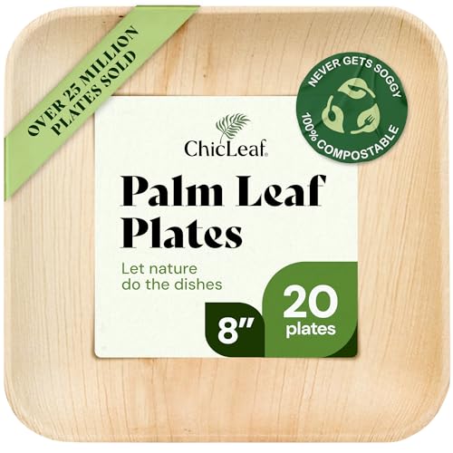 Chic Leaf Palm Leaf Disposable Bamboo Plates - Square Party Plates for Weddings, Parties, Event Appetizers - Biodegradable & Compostable - Party Supplies (8