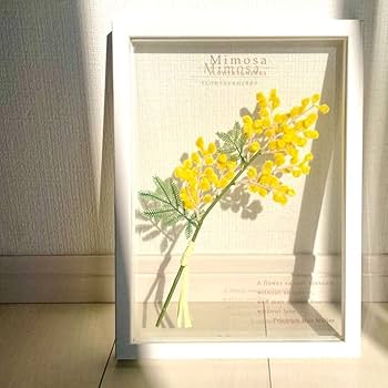 イタリア 額絵 アートフレーム ミモザ グリーン 風水 FAL-2756 楽天市場】スーパーセール 50% OFF イタリア製 アートフレーム