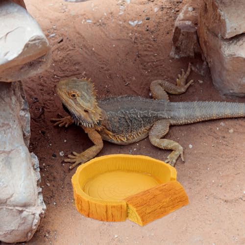 HOMSFOU Wasser und Futterschale für Reptiliengehege Geeignet für Hermanns Schildkröten Eidechsen und Spinnen
