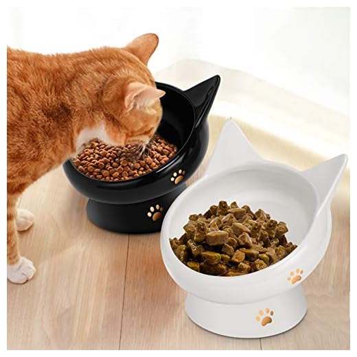 Raised Food Bowls Anti Vomiting,Tilted Elevated Ceramic Bowl for Flat-Faced Cats,Small Dogs,Protect Pet's Spine,Dishwasher Safe,Black and White, 2pcs