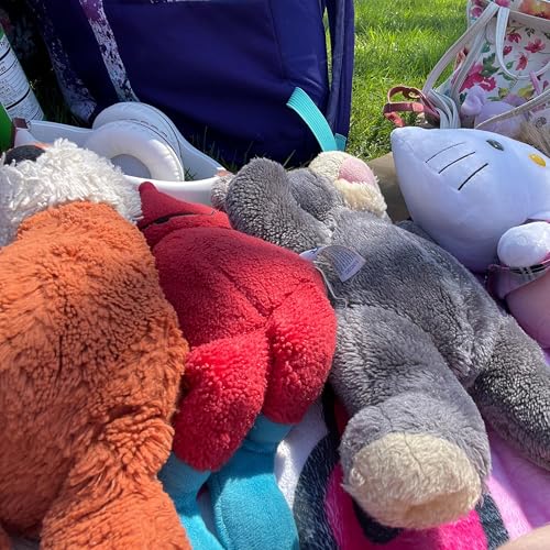 college life as a autistic young woman