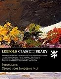  Abhandlungen der Königlich Preussischen Geologischen Landesanstalt. Neue Folge, Heft 13. Geologische Beschreibung der Umgebung von Salzbrunn