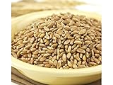 Spelt Berries 50 lbs.