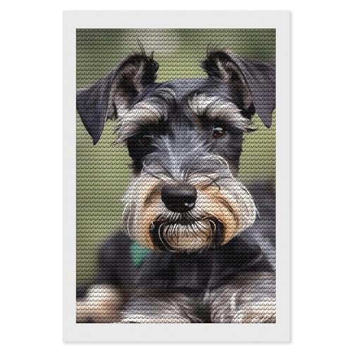 Peinture diamant Schnauzer kit DIY broderie strass déco murale