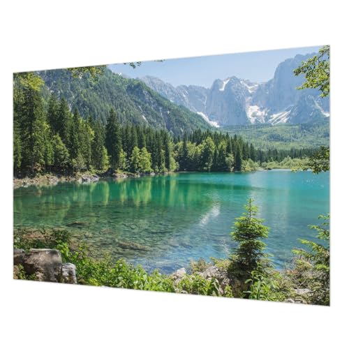 Décor mural intissé pour masquer les imperfections murales avec colle - 2
