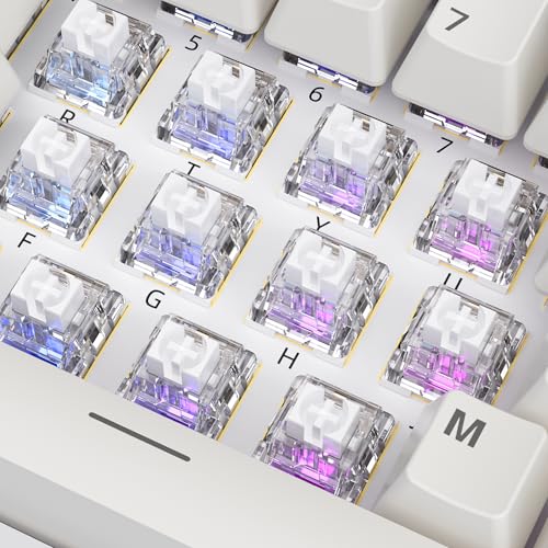 Image of ZhouWang White Shark Keyboard Switch, Pre-Lubricated Dustproof Clicky Switch, Suitable for 3D-Printed Clickers and Gaming Mechanical Keyboards(90Pcs)