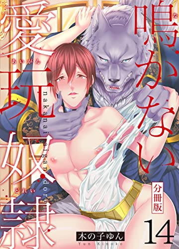 鳴かない愛玩奴隷【分冊版】(14) (REX!)