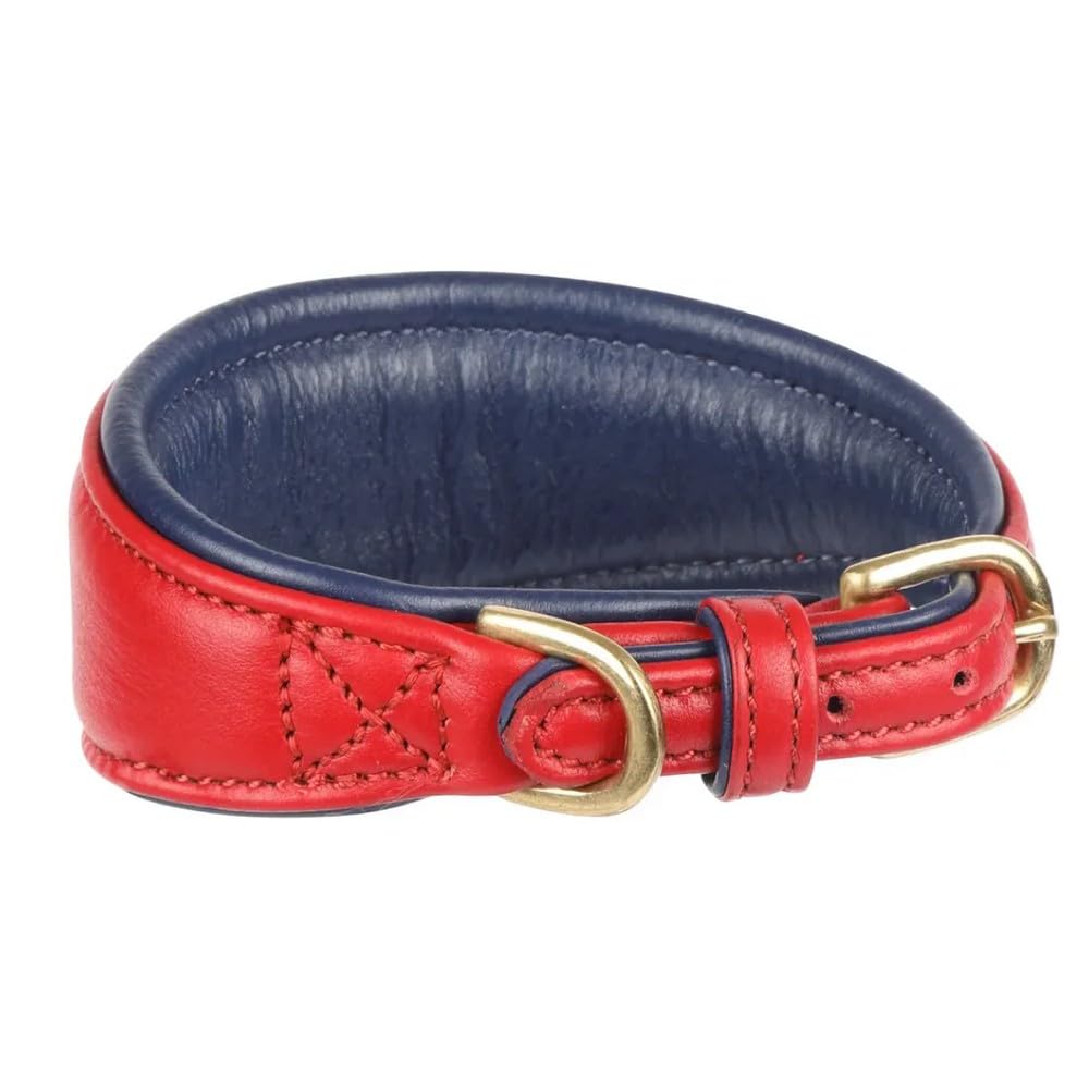 Digby & Fox - Greyhound Leather Padded Dog Collar (M - Neckline: 29 cm-34 cm) (Scarlet Red)