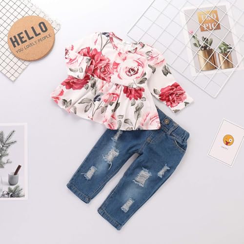 Image of CARETOO Girls Clothes Outfits, Cute Baby Girl Floral Long Sleeve Pant Set Flower Ruffle Top