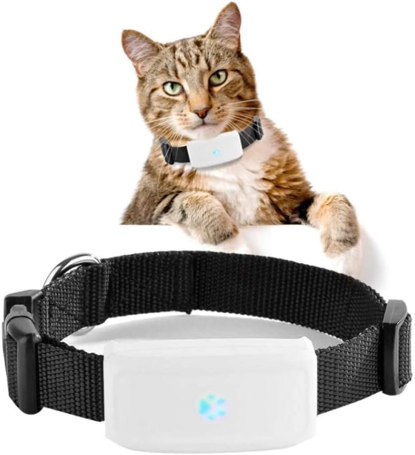 GPS Tracker TK911 LOCALIZZATORE SATELLITARE PER ANIMALI Cane Gatto PET Animals